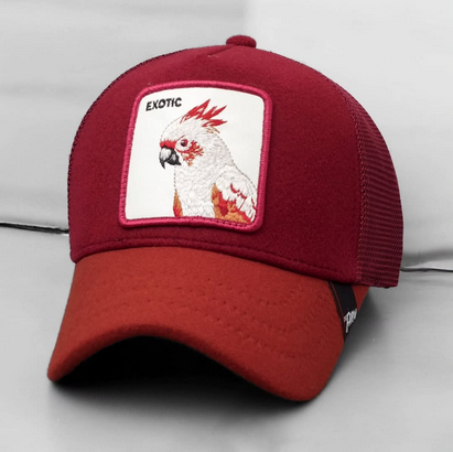 Topi G5