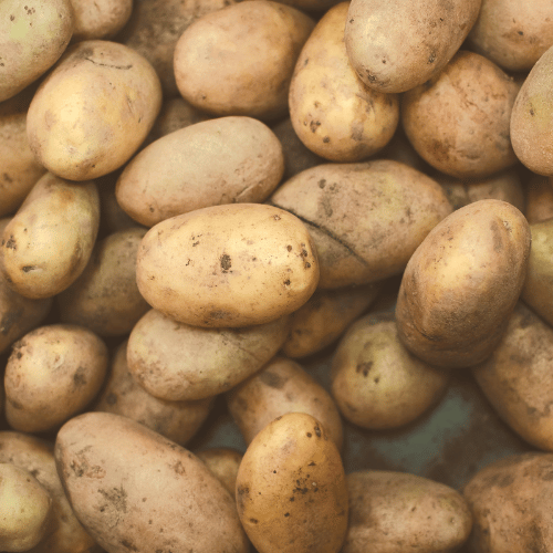 Potato