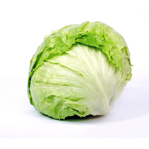 Lettuce - Iceberg