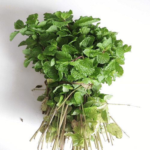 Mint Leaves