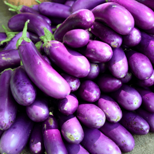 Brinjal