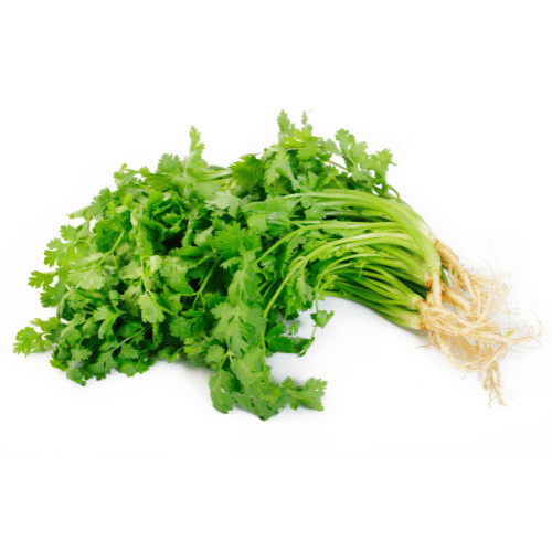 coriander
