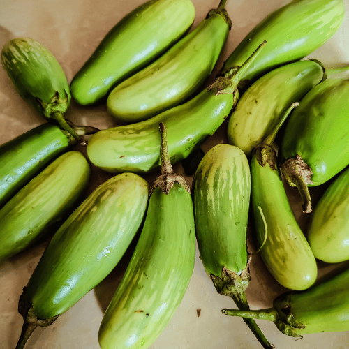 Brinjal - green long