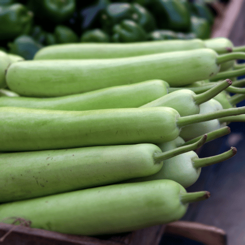 Bottle Gourd
