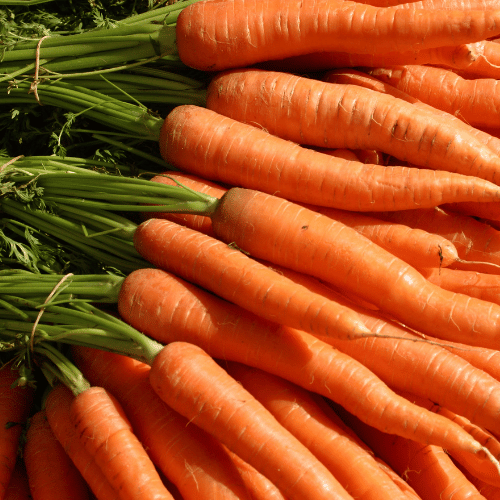Carrot