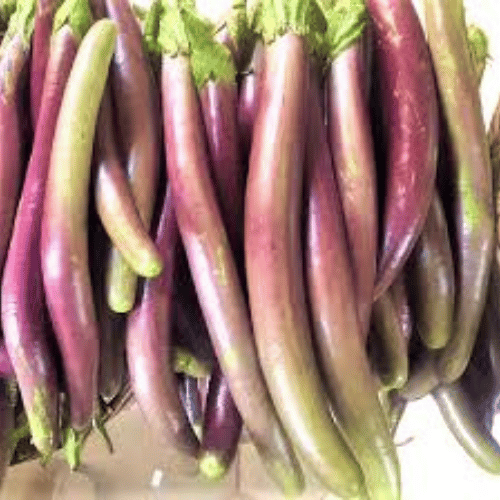 Brinjal Purple,long