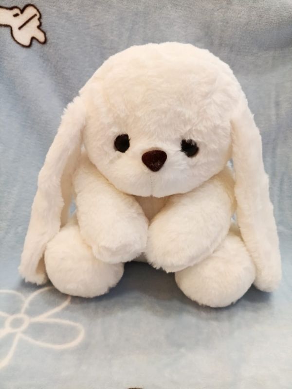 RABBIT TEDDY
