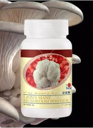 DXN Lion Mane Powder-30g