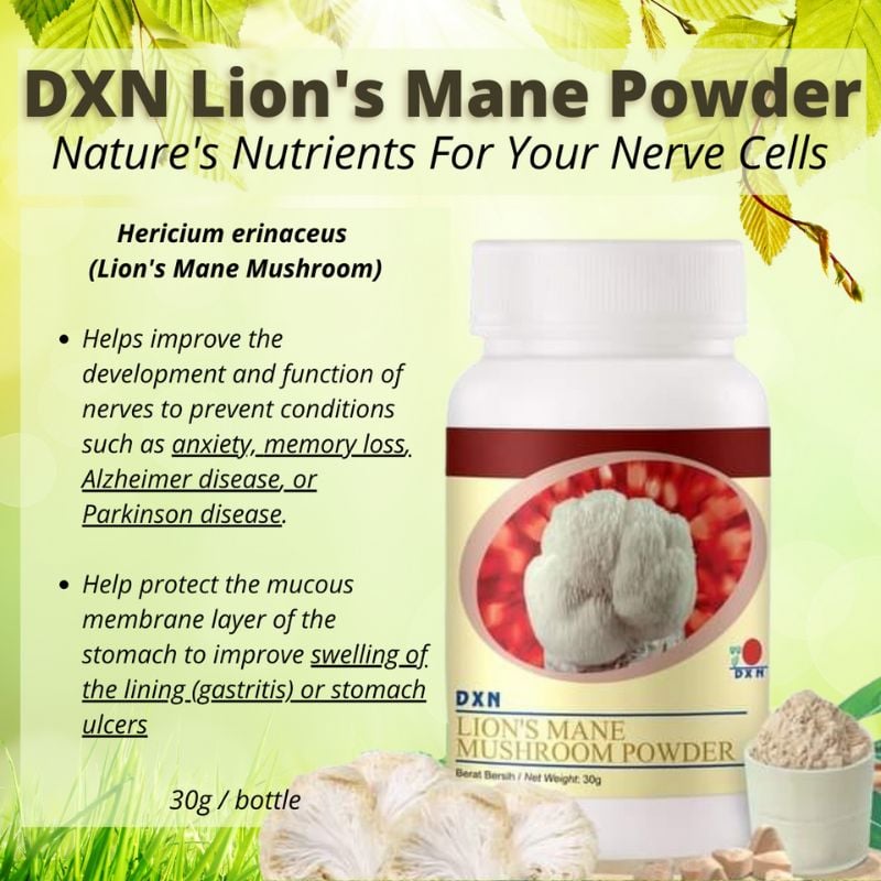 DXN Lion Mane Powder-30g