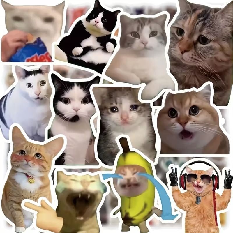 CATS FUNNY STICKER