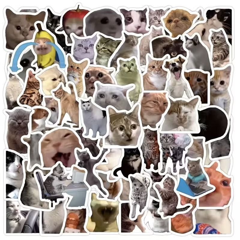 CATS FUNNY STICKER