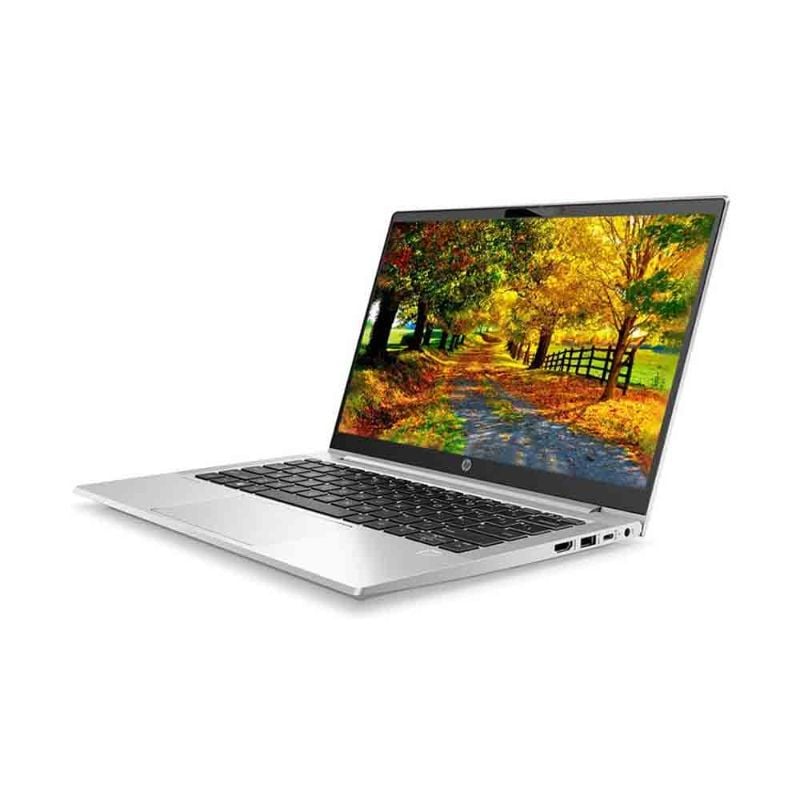 ProBook 445 G10 Ryzen