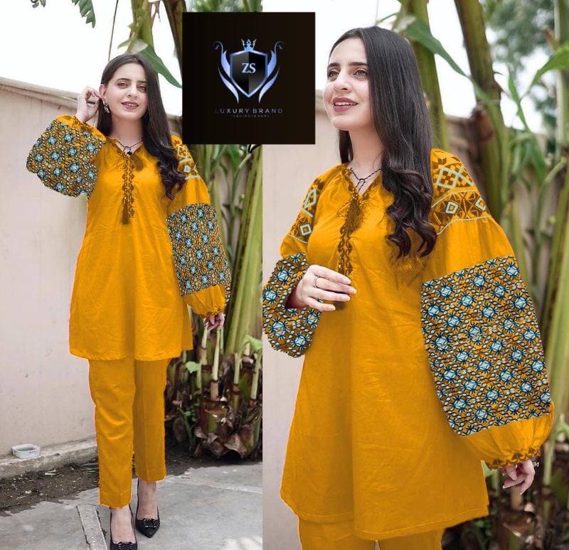 Heavy Sleeves Embroidery 2pcs Suit