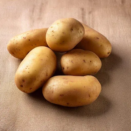 Potato