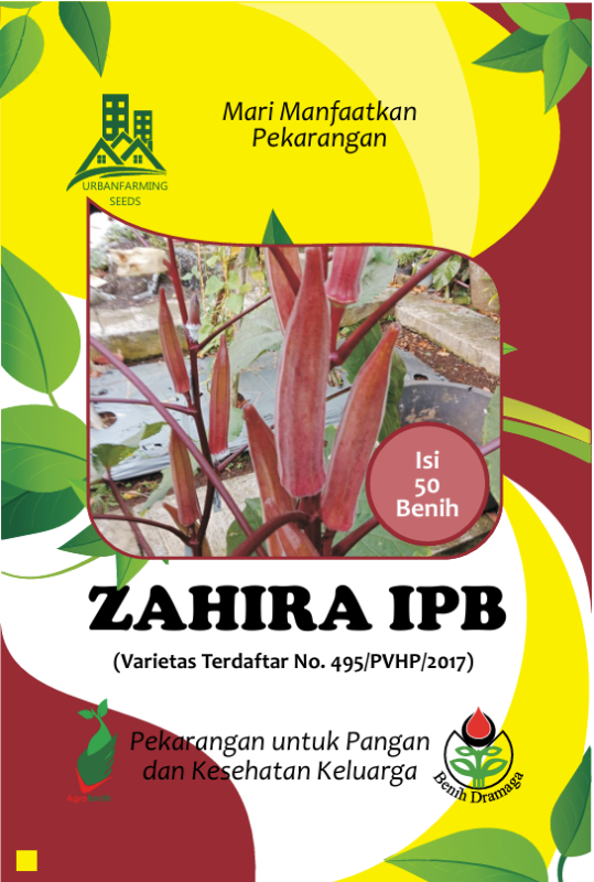 Okra Ungu Yalanda IPB