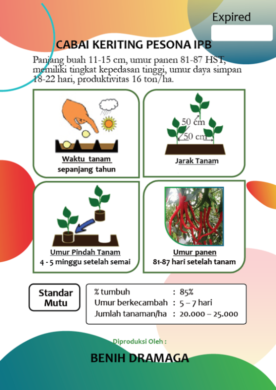 Cabai Keriting Pesona IPB