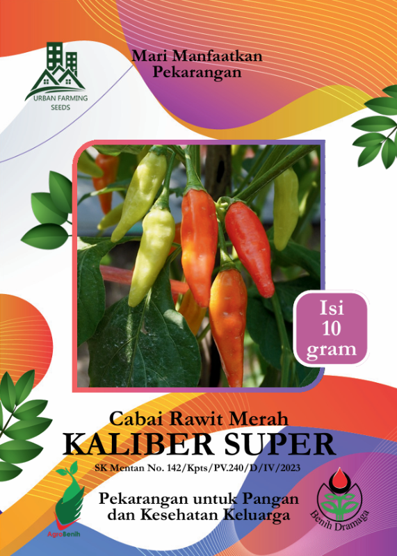 Cabai Rawit Kaliber Super