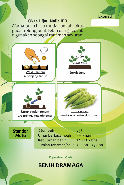 Okra Hijau Naila IPB
