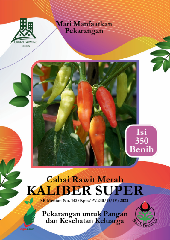 Cabai Rawit Kaliber Super