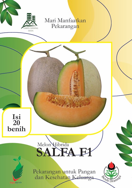 Melon Hibrida Salfa