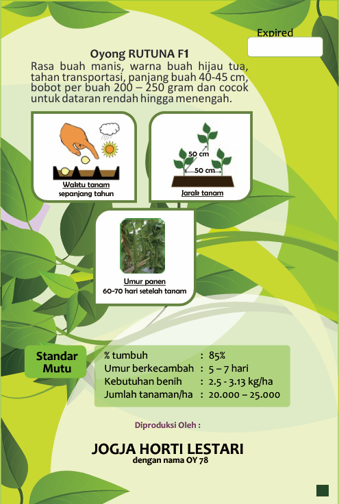 Oyong/ Gambas Hibrida Rutuna