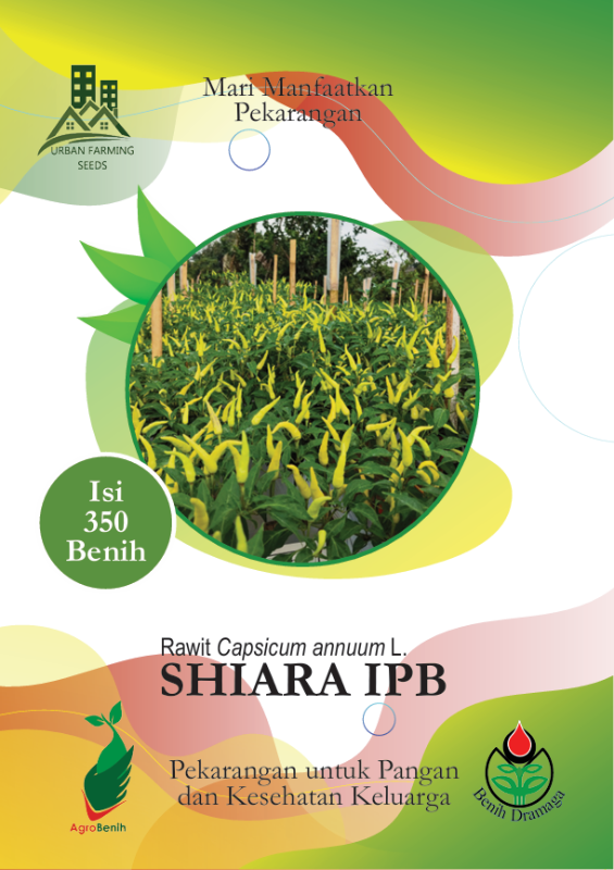 Cabai Rawit Shiara IPB