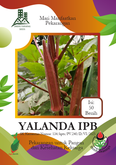Okra Zahira IPB