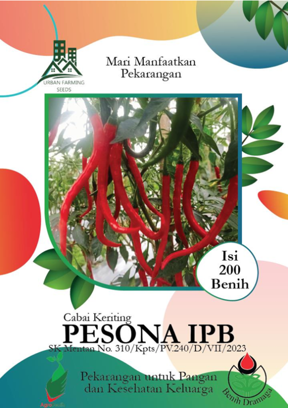 Cabai Keriting Pesona IPB