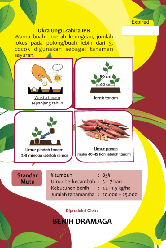 Okra Ungu Yalanda IPB