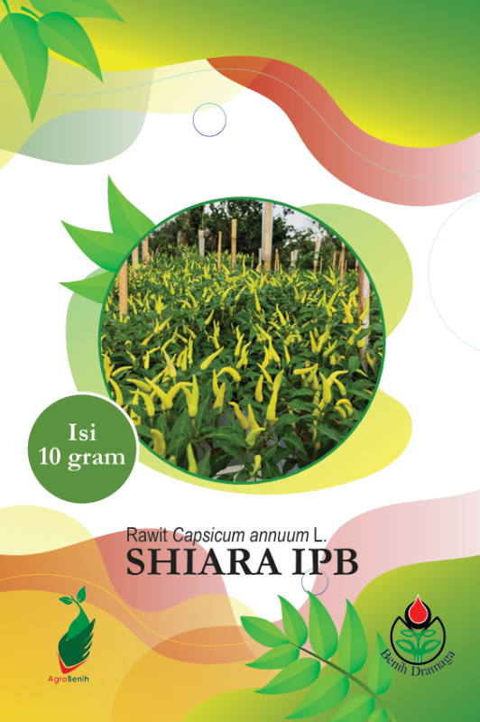 Cabai Rawit Shiara IPB