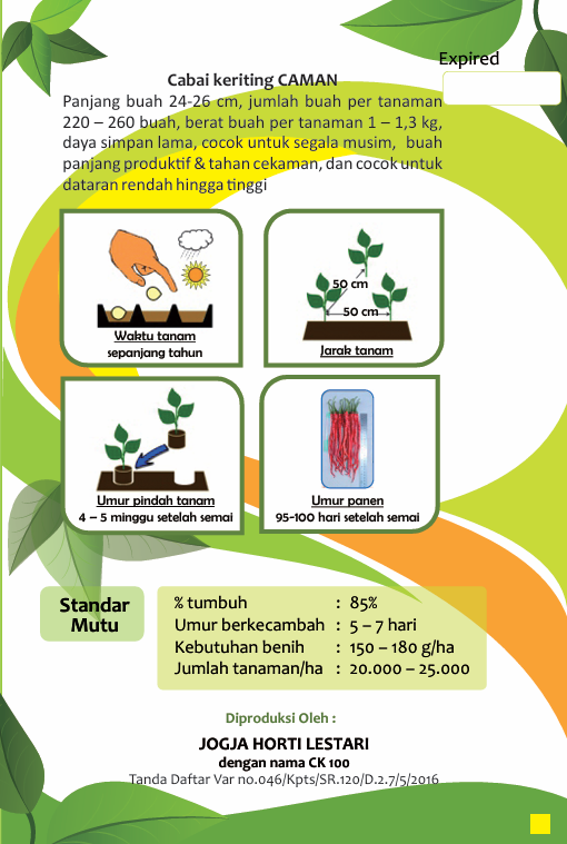 Cabai Keriting Caman IPB