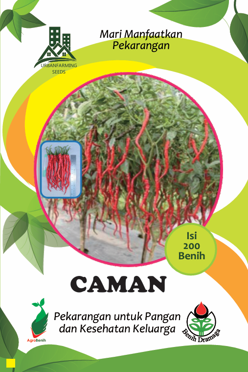 Cabai Keriting Caman IPB