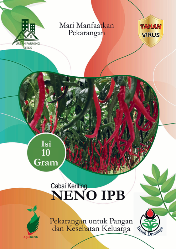 Cabai Keriting Neno Tavi IPB