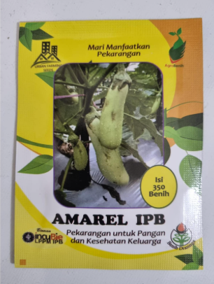 Terong Panjang Amarel IPB