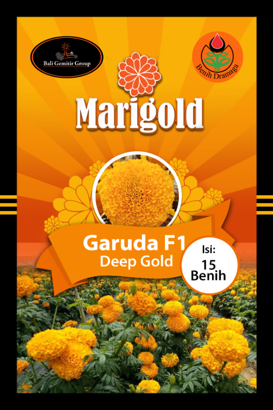 Marigold Garuda