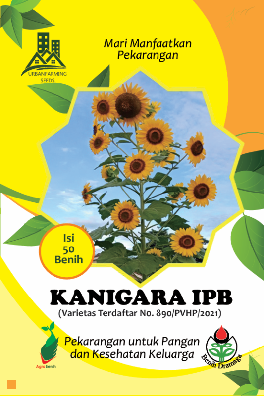 Bunga Matahari Kanigara