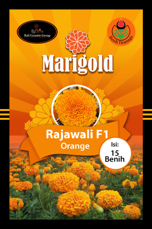 Marigold Rajawali