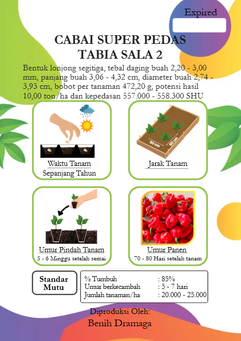 Cabai Super Pedas Tabia Sala 2 IPB