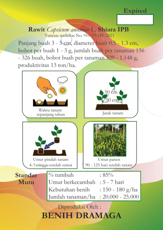 Cabai Rawit Shiara IPB