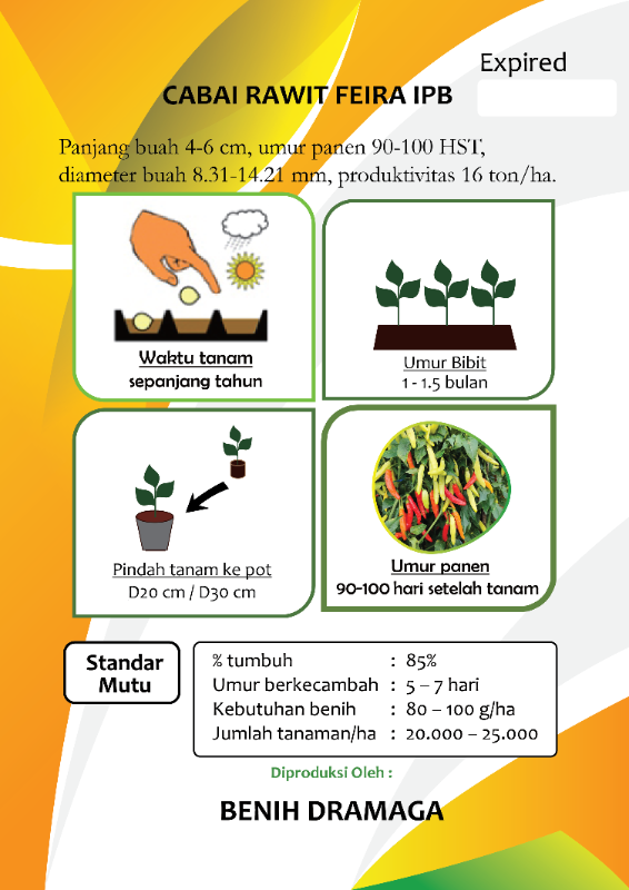 Cabai Rawit Feira IPB