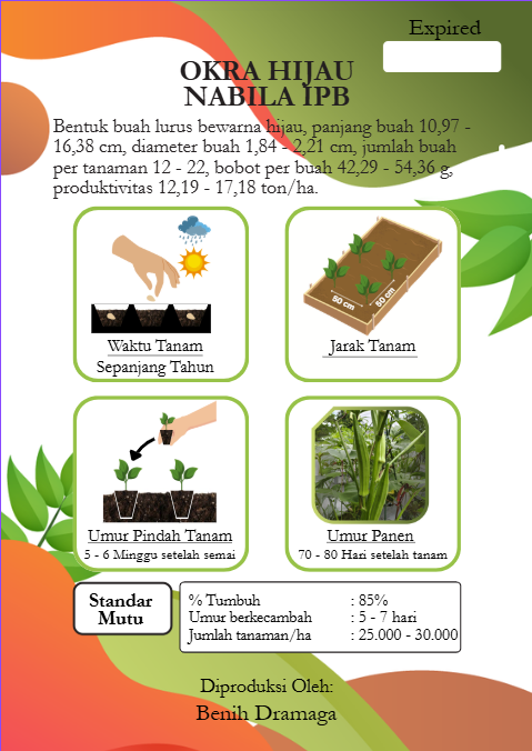 Okra Hijau Nabila IPB