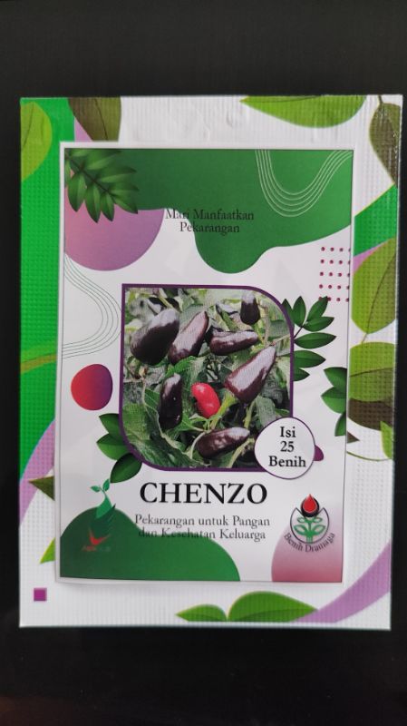 Cabai Hias Black Chenzo