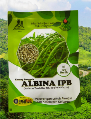 Kacang Tunggak Albina IPB