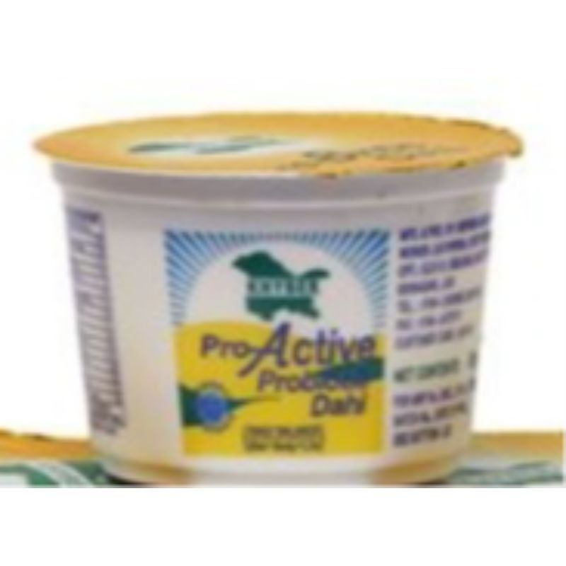 Khyber proactive Dahi 200gm pack