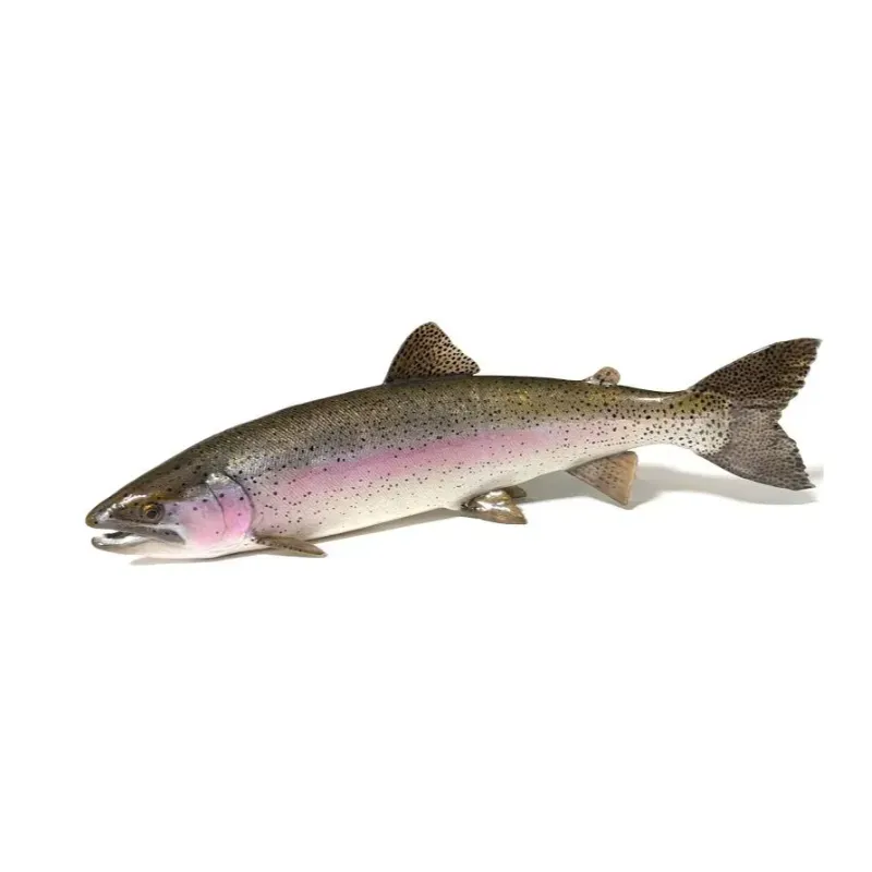 Kashmiri Fresh live Rainbow Trout 1kg