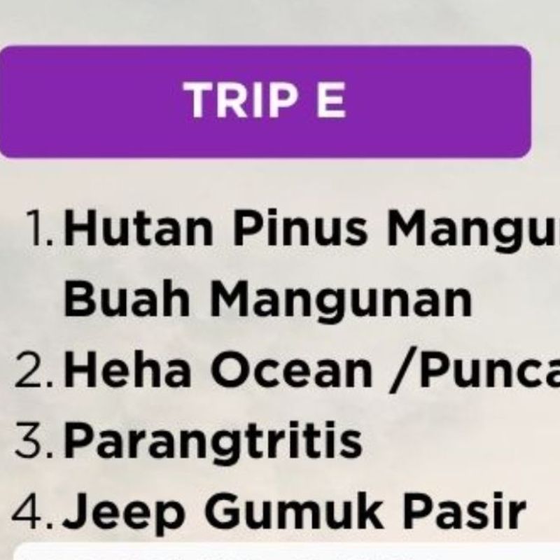 Trip E
