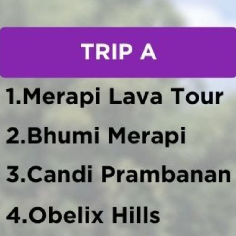 Trip A