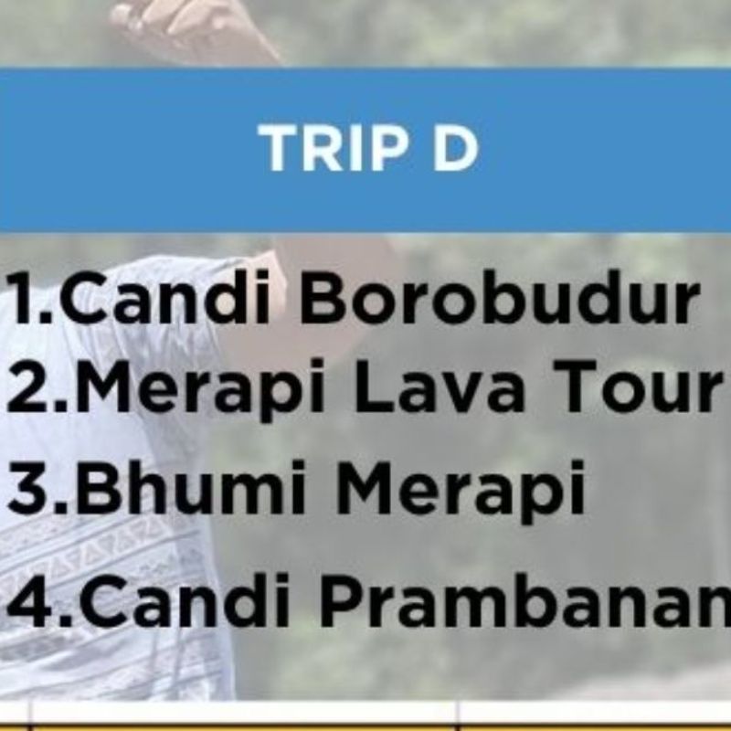 Trip D