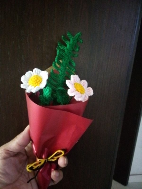 2 Daisy Flowers with Leaf