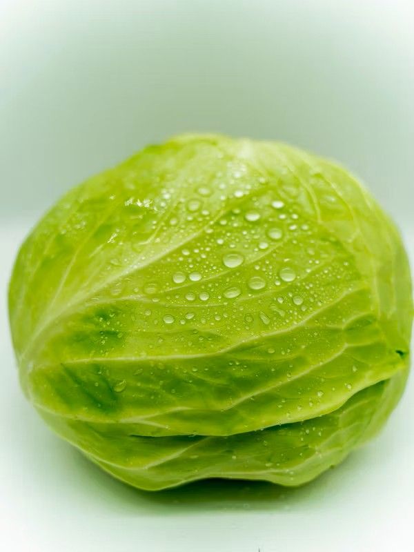 Cabbage